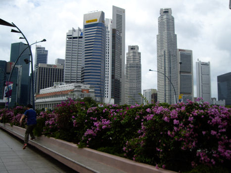 Singapore12.jpg